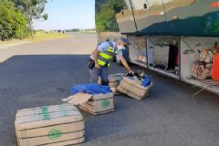 Em duas operações distintas policiais do TOR realizam apreensão de mais de 458 kg de maconha