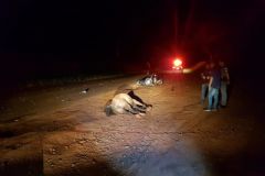 Jovem morre após acidente entre moto e égua em estrada vicinal de Jaú