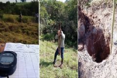 Pesquisas embasam atividades de restauração do projeto Gigante Guarani em Botucatu