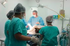 Divulgada data da reabertura de agendamentos do Hospital Veterinário da FMVZ/Unesp