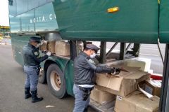 Operação dos policiais militares do TOR resulta em apreensão de mais de 220 kg de maconha 