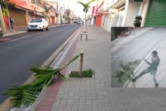 Trabalho conjunto entre GCM e DIG identifica autor de vandalismo na Rua Amando de Barros