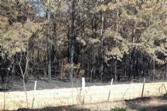 Polícia Civil de Itatinga investiga as causas de incêndios ocorridos em propriedades rurais 