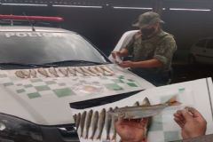 Polícia Militar Ambiental flagra pesca predatória em período de piracema na zona rural de Botucatu