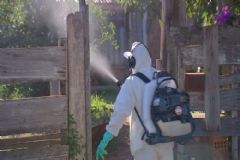Região Norte de Botucatu receberá atividade de nebulização para combater o mosquito da dengue