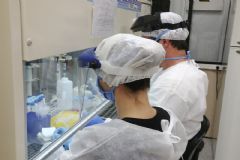 Boletim aponta o 97º caso de morte em Botucatu causado por contaminação por coronavírus