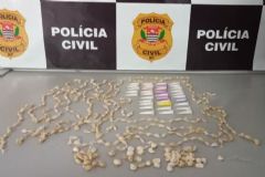 Setor Investigativo de São Manuel apreende 394 pedras de crack e 35 pinos de cocaína 