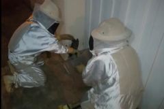 Vigilância Ambiental em Saúde captura enxame de abelhas “assassinas” na região Leste