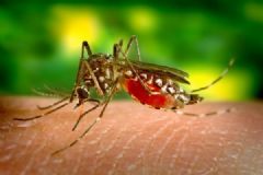 Bairros do Setor Leste da Cidade  tiveram nebulização para combater a proliferação da dengue
