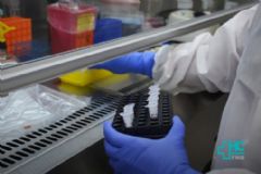 Semana epidemiológica aponta estabilização de novos casos de coronavírus em Botucatu