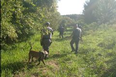 Com ajuda de cão treinado, PM localiza mais de 1 kg de maconha em Itatinga