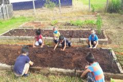Escola de educação infantil incentiva cultivo de horta comunitária em projeto de contraturno