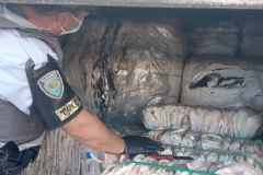 Policiais do TOR realizam flagrante de contrabando em operação no pedágio de Itatinga