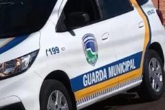 Guarda Municipal prende indivíduo que admitiu furto contra empresa de  depósito de ferro velho