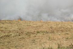 Incêndio em área vegetal, aparentemente pastagem, é registrado em zona rural do Município