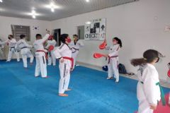 Equipe botucatuense de Taekwondo alinha treinamentos para competições neste ano