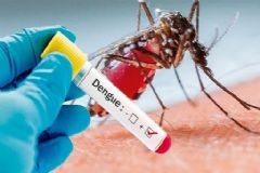 Vigilância Ambiental em Saúde intensifica ações de combate ao mosquito Aedes aegypti