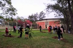 Escola “Álvaro José de Souza” realiza plantio de árvores em aula prática de biodiversidade e sustentabilidade