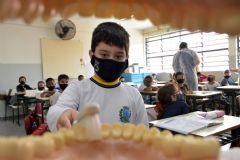 Associação de Cirurgiões Dentistas de Botucatu doa 7 mil kits de escovação para alunos da Rede Municipal