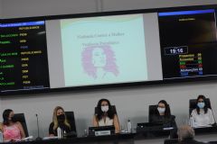 Câmara de Botucatu promove audiência pública para debater violência psicológica contra a mulher 