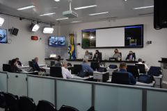 Câmara Municipal elenca o trabalho legislativo desenvolvido  para Botucatu em 2021