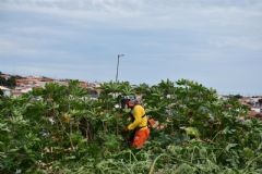 Prefeitura publica decreto dando prazo para limpeza de terrenos em Botucatu