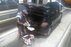 Policiais militares do TOR prendem “batedor” que “protegia” carga com mais de 80 kg de maconha