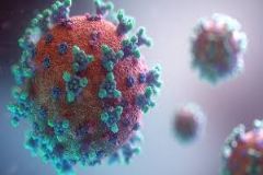 Governo de São Paulo recomenda prevenção para enfrentamento da pandemia do coronavírus 