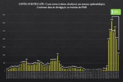 Semana epidemiológica da pandemia de covid-19 em Botucatu revela queda acentuada de casos novos