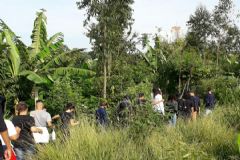 Estudantes de escola estadual de Botucatu fazem visita técnica a agrofloresta urbana