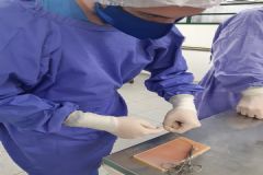 FMVZ/Unesp desenvolve dispositivo à base de silicone que simula condições dos tecidos de animais vivos 