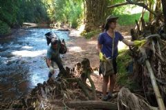 6ª edição do Cuesta Limpa acontecerá na primeira quinzena de setembro na Floresta Estadual de Botucatu
