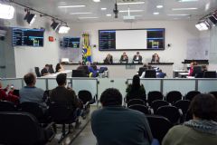 Câmara Municipal realiza audiência pública para debater perturbação de sossego com a população