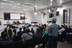 Audiência Pública debate sobre regularização de lotes e deve embasar trabalho de Comissões da Câmara 
