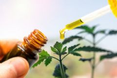 Remédios à base de Cannabis têm se mostrado opção eficaz para o tratamento de diversas doenças