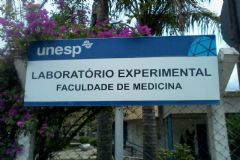 Unidade de Pesquisa Experimental, da Unesp Botucatu promoverá segunda edição do “Dia da Pesquisa” 