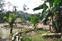 Projetos da Unesp desenvolvem site para aldeia indígena Guarani para divulgação de sua cultura