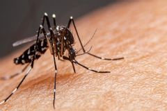 Vigilância Ambiental em Saúde segue com ações de nebulização para frear a transmissão da dengue