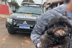 Investigadores da Polícia Civil localizam cadela que estava desaparecida desde o final do ano de 2022