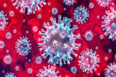 Novo boletim oficial do HC sobre suspeita de coronavírus aponta 18 pessoas internadas