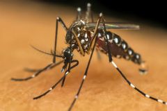 Campanha “Todos contra a dengue” está realizando nebulização em diferentes setores da Cidade