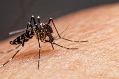 Secretaria de Estado da Saúde de São Paulo divulga a primeira morte causada por dengue em Botucatu
