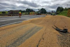 Caminhão tomba e espalha carga de milho em rodovia no perímetro urbano de Botucatu