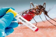 Botucatu atinge 15,6 mil casos de dengue computados, com o registro de cinco mortes