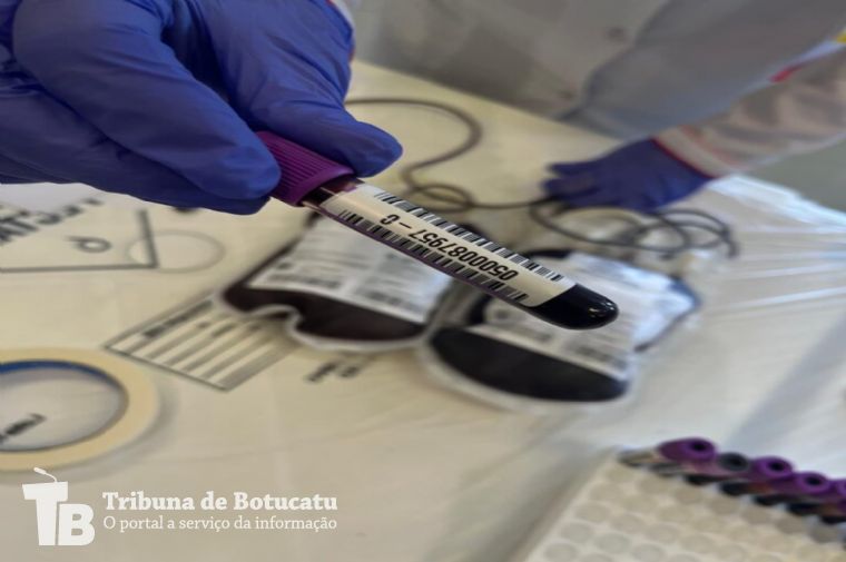 Hemocentro do HCFMB ultrapassa 4 mil bolsas de sangue coletadas no primeiro quadrimestre de 2024