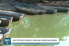 Crescimento de plantas aquáticas ocasiona mau cheiro do Rio Tietê prejudicando o turismo na região