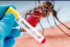 Botucatu chega a sete casos de mortes causadas por dengue e região computa 80 vítimas da doença