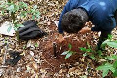 Engenheiro florestal de Botucatu aponta carbono como ferramenta para combater mudanças climáticas